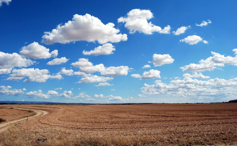 brown field and blue sky