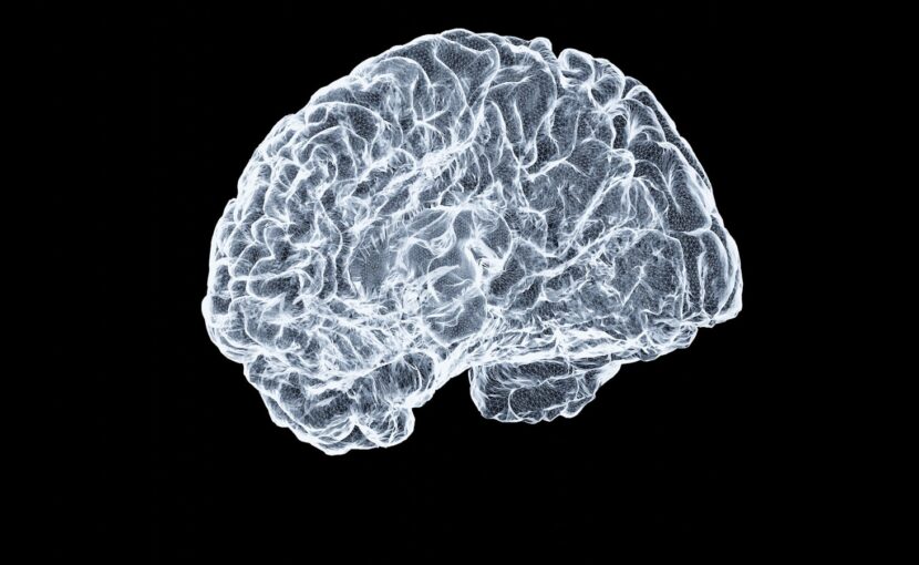a close up of a human brain on a black background